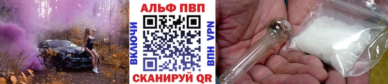 Альфа ПВП СК Лебедянь