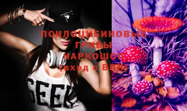гашик Армянск